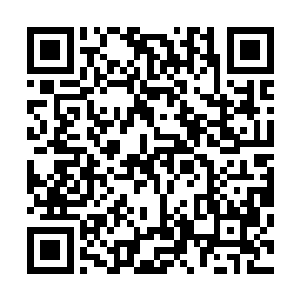 水奴平常的言行之间她随便都能挑出百千个惩戒人的借口来二维码生成