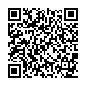 水属性变异灵根冰灵根让李珍的修为一直突飞猛进二维码生成