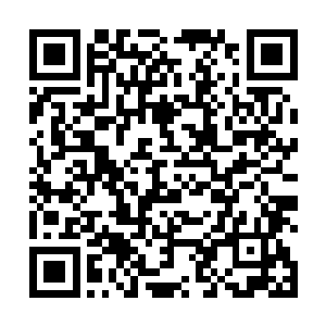 水心柔瞄准挂在床头上的那张大大的婚纱照上的唐亦森二维码生成