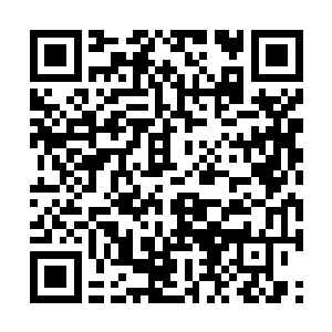 水灵儿才算是帮狐如嫣找到了本灵所在的灵魂漩涡二维码生成