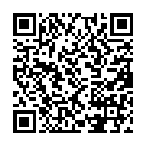 水菲菲四人以及星海等人都出现在众人的视线之内二维码生成