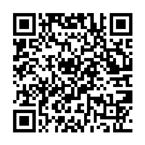 永夜大帝身侧十米的位置上站着一名高大威猛的男子二维码生成