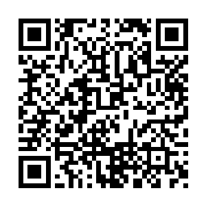 永远也别指望毒龙会的人能干出以德报怨的蠢事二维码生成