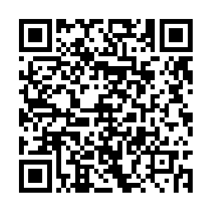 永远都能在恰到好处地站到蛋圆圆的身边排除危机二维码生成