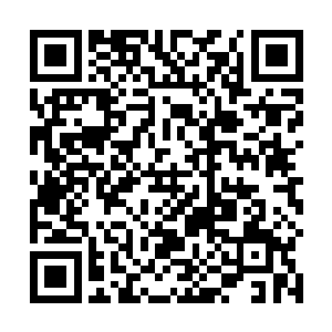 求她救救秦毅……告诉她秦毅是为了她才带人突袭海岛二维码生成