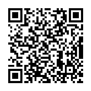 汇报的事情自然是关于之前在巴斯坦控制区发生的恐怖袭击事件二维码生成