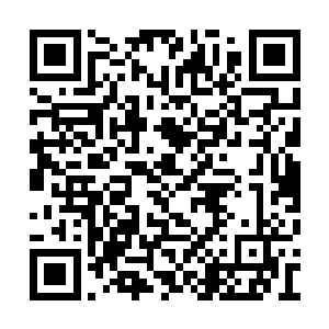 汇聚得灵气漩涡强度会远超往日的海神祭祀时期二维码生成