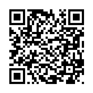 江北菁等四名主持人所穿的衣服一亮相二维码生成