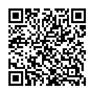 江宇航看完了那盘雷欢喜在巴黎抱着炸弹狂奔的录像带后二维码生成