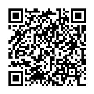 江少游最终可以透视的翡翠原石就要比预估得多出好几块了二维码生成