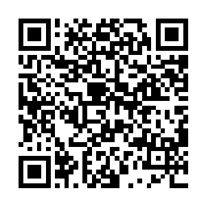 江少游见到雷克斯和他那个徒弟全都是微微侧着脑袋二维码生成