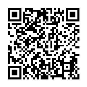 江帆分身立刻取出绿色球装模作样的联系异形虫二维码生成
