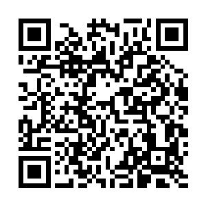 江帆手中的蚂蚁魔兽王的元神和内丹怎么挣扎都无法挣脱二维码生成