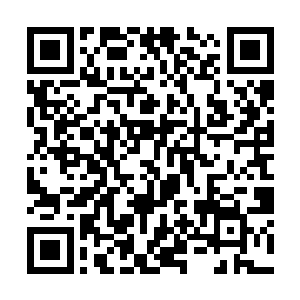 江帆知道纳甲土尸的那种古怪下作的习性会让人不适二维码生成