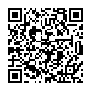 江帆走上前看了看台上的盛凌云面无表情的对着宇文长老道二维码生成