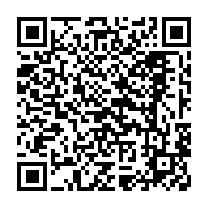 江水里面还有不少善泅的健儿带着渔网在数位官差的指挥下载江中往来拉网二维码生成