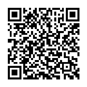江海市的所有青年才俊都在到处准备丰厚的礼物二维码生成