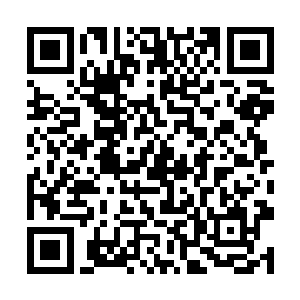 江言一看到那小小的身影就整个人都变得更加温柔了二维码生成