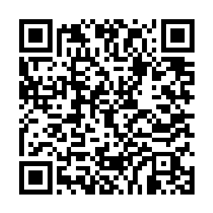 江逸等人相信就算东皇大6最高大的山峰在这一掌下二维码生成