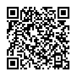 池佳一也就静下心来和他学习了一段时间的书法和绘画二维码生成