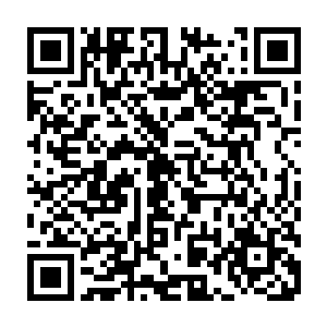池塘里那些只有手指长的鱼苗已经长成成鱼了――虽然和植物的生长速度没法比二维码生成