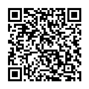 池枫打量了一下这个妩媚中略带一丝英气的苗条女子二维码生成