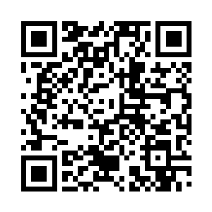 污秽鸟作为审判之眼与万蛇之母的敌人二维码生成