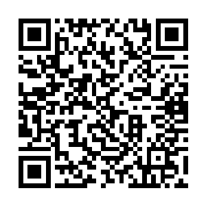 汪念林看到地上的那些大汉和那几个极品恐龙女骂道二维码生成