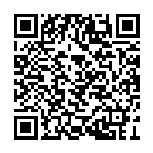 汴梁才迅速的从二月初的那场惊变当中平静下来二维码生成