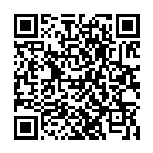 沃尔夫和斯拉迪克这两座城市是否同样也有猎魔人黑市二维码生成