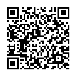 沈丽缇如今对跟夏云杰合租倒也没像昨晚那般抗拒二维码生成