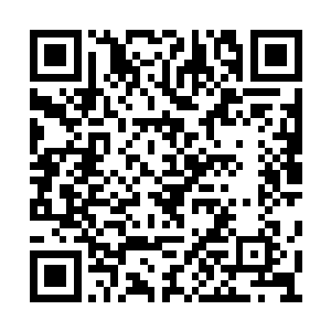 沈先生好像说有什么新的想法想要和林大夫讨论二维码生成