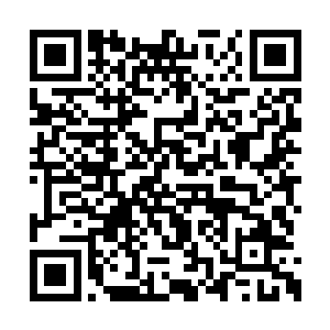 沈凡不是没有想过要借助这种秘法来渡神通之劫二维码生成
