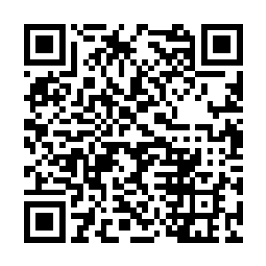 沈凡仿佛见到关刚直接打出一座山脉轰向赤脚宗师二维码生成