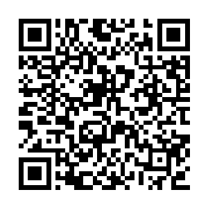 沈凡在纹师一道最让人称赞的天赋便是瞬发元纹二维码生成