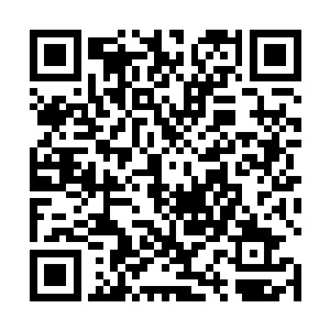 沈凡用神秘手段祛除了几种大道之物中的异种气息之后二维码生成