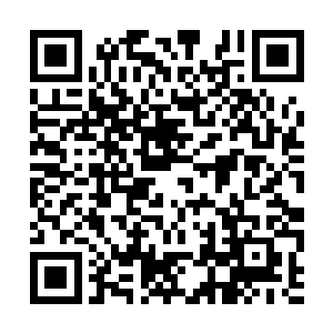 沈凡突然从千丈紫金色巨人变成了一根紫金色细丝二维码生成
