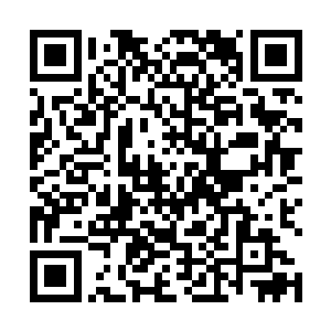 沈君怀又介绍了这一段时间他主要集中力量调查的案子二维码生成