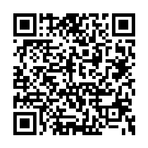 沈喜臻一看信封上的字――是琴师温思伯写来的二维码生成