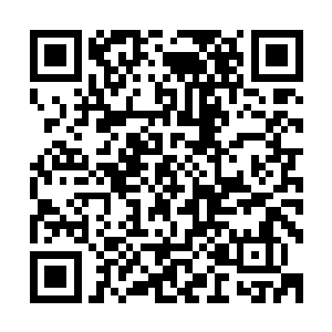 沈婉瑜从他们的身上感觉到发自内心的恭敬这才懒懒的抬起手二维码生成