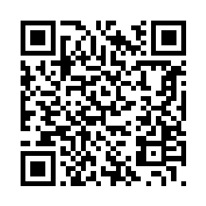 沈婉瑜感受到身后几人的紧张和担忧二维码生成