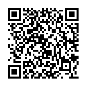 沈婉瑜慵懒的靠在藤椅上看向走过来的如梦如幻二维码生成