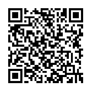 沈婉瑜来这的目的就是要亲自将这东西交给青衣二维码生成