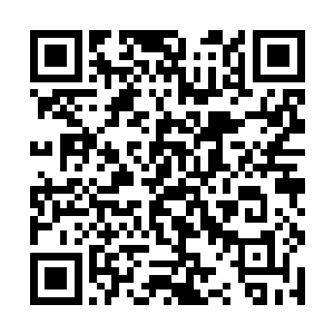 沈婉瑜的目光落在那一身月白色撒花娟裙的少女身上二维码生成