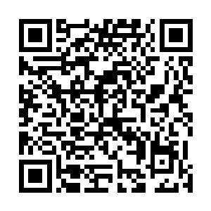 沈子良却向一位年纪绝不超过二十岁的年轻人低头认错了二维码生成