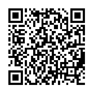 沈子良和他两位手下看着眼前那生平从未见过的恐怖画面二维码生成