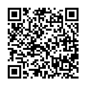 沈家引来了其他两个与沈家不太和睦的两大家族的联合陷害二维码生成