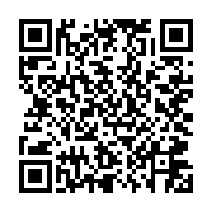 沈文彦快速的将杯子扣在了沈婉瑜肩膀上的蝎子纹身上面二维码生成