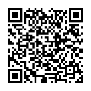 沈某就将神月仙宫所有的女人都收入白骨道宫之中二维码生成