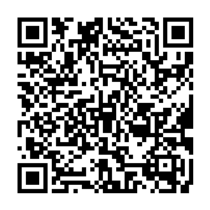 沈甜甜除了跟王靖露一起扎戏时演过一些丫鬟宫女之类背景板一样的小角色之外二维码生成